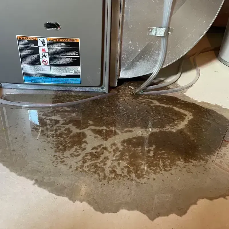 Appliance Leak Cleanup in Putnam County, WV